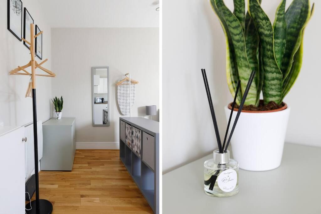 Cosy Studio Flat Moments From The Beach, Kemptown Brighton Exteriör bild